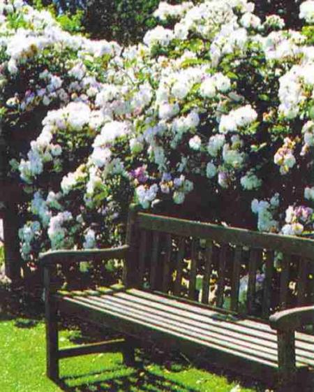 La mesure de l'homme